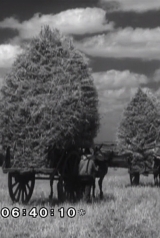 00ce47359f0e799c4e389d466bba72f9_160_238