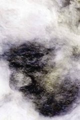 2d62f3755ce588a98fb740d027c3fa54_160_238