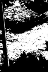 3cf8c8059adbb70b61b3a4d3e76dd232_160_238