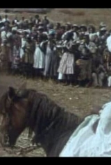 51d89a719337331c034f49999812b222_160_238