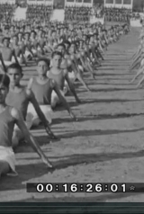 610644243054aa9a1d2d890b2defbfc6_160_238