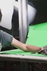 687cab8800f46172ea52969bd0e88829_160_238