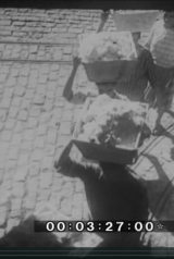 6c6fd4b5d20ac2ce1aa9e4f29632e19b_160_238