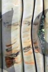 795c451aa58bbf95e08a4bdf7fb27519_160_238