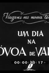 8b7efd3186d956a7585e523f12bb5a26_160_238