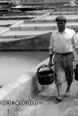 8c0418734ecb5960827ab31cc314a15b_160_238