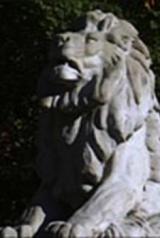 97307bfa86a26133e79cc50e5d164752_160_238