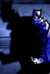 9a892555e01c0f2981bcfe583b76f847_160_238