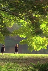 9da17347364332971940335d03702ad4_160_238