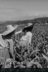 a56602931dffabcebd8ae54bc2bf5cca_160_238