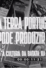 abfab12621b9aea657bfb3f294ec2c2d_160_238