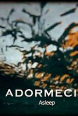 adormecido_01_160_238