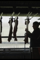 af18ff39f9892b58e94345dbb8ba58e5_160_238