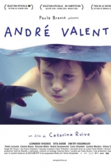 andrevalente_160_238