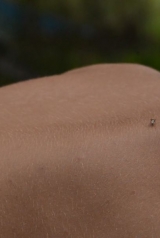 baebc4cbe9bdf711e25be62d3f8bf239_160_238