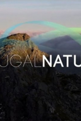 bb1d985450b2643beb2e338549b1ee66_160_238