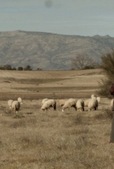 bfdd1fcb946b61d8fdc913eed80c8f7a_160_238