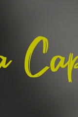 c1c0e625c76272543ea389d5ee3bb172_160_238