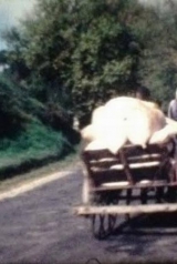 c445595d6e90e09542821b840befa777_160_238