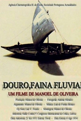 cbfdf1f33f5face0a61dcaeb13cb7e19_160_238