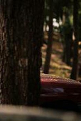 e61a3a562ffe11d3d037dd8bc71250b4_160_238