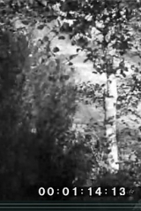 excursaoescolar_1929_160_238