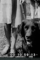 expocanina_1930_160_238