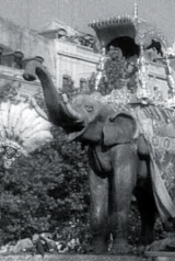 f19e4cbe8e5dc913232e09299d7462cf_160_238