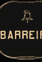 f910731d498db51ba0cafbdc7fc31749_160_238