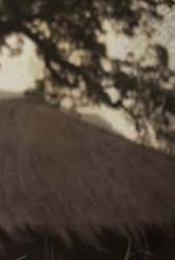 f9c287029097f24b057f2df844c35f9e_160_238