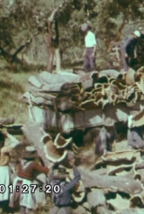 fe8829f1792149f684427bf760e00231_160_238