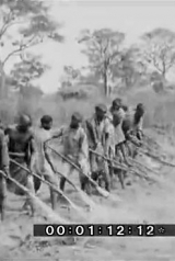 guine1929_01_160_238