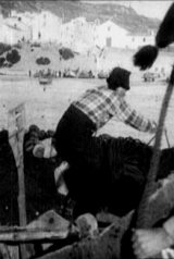 nazare_10_160_238