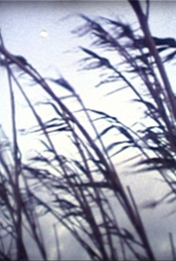 paisagem_160_238
