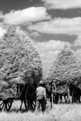 portugaljuntoaomar_01_160_238