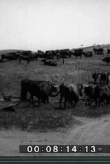 trechos_1927_160_238