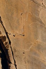 umaviagemnocoa_160_238